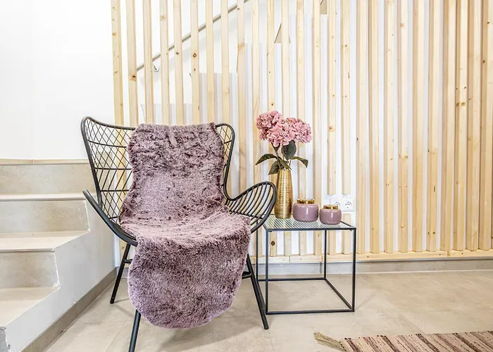 Elegant & Air Condition 5br - By The Danube River Apartment Krems an der Donau